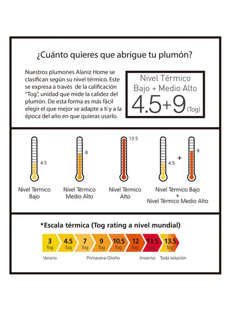 Plumón Alaniz Home King Toda Estación-4