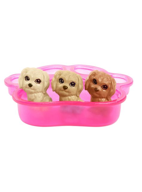 Cachorros Recién Nacidos-2