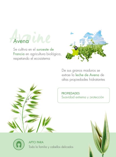 Shampoo Seco Extrasuave a la Leche de Avena 150 ml-4
