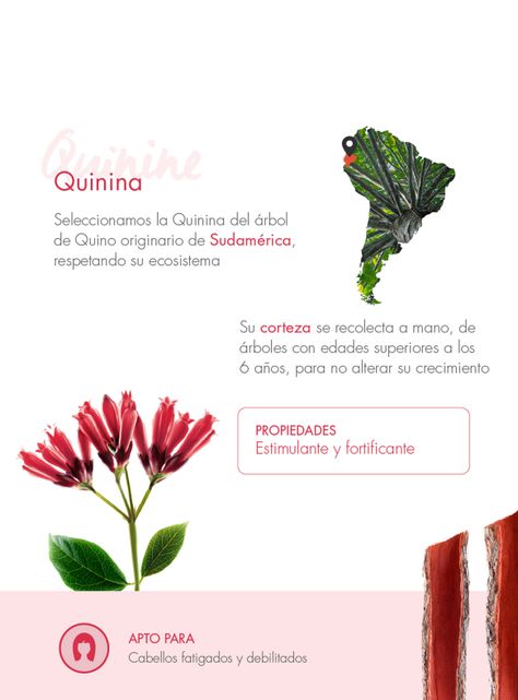 Bálsamo Fortificante a la Quinina con Vitaminas B 200 ml-5