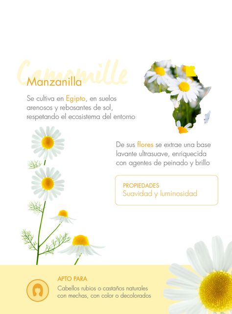 Shampoo Iluminador a la Manzanilla 400 ml-4