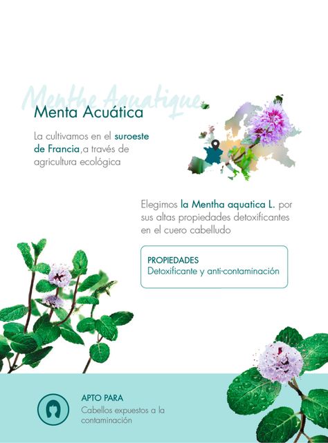 Shampoo Detoxificante a la Menta Acuática 200 ml-5