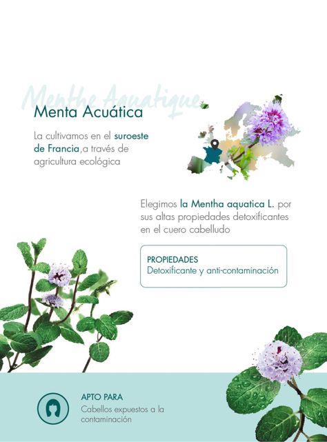 Bálsamo Protector a la Menta Acuática 150 ml-5