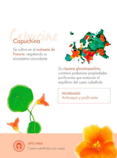 Shampoo Anti-Caspa a la Capuchina 200 ml-4