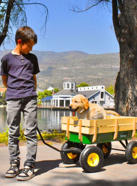 Carro de Arrastre Wagon Verde-5