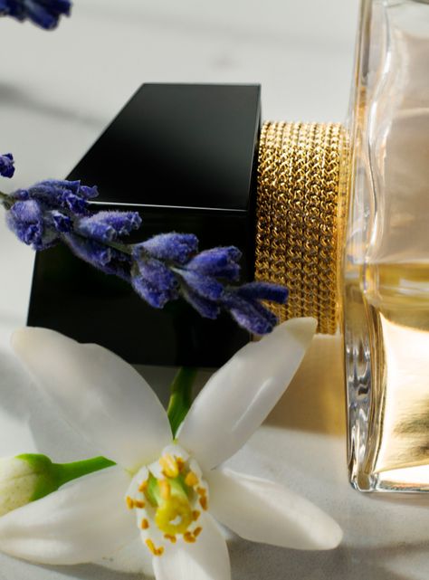 Perfume Yves Saint Laurent Libre EDP Mujer 150 ml-3