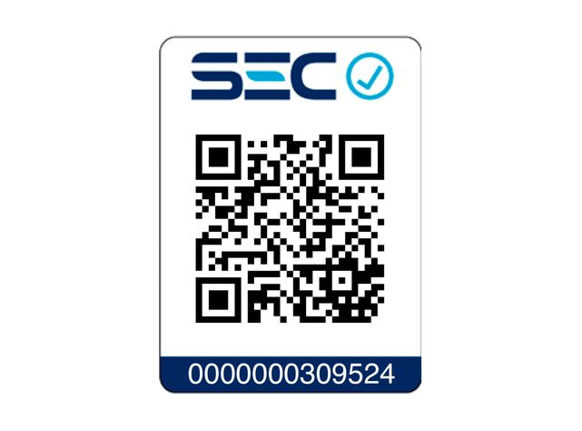 Ondulador de Pelo SG2411-8