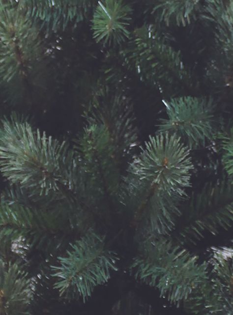 Árbol de Navidad Verde 230 cm 1170 Puntas Cashmere-1