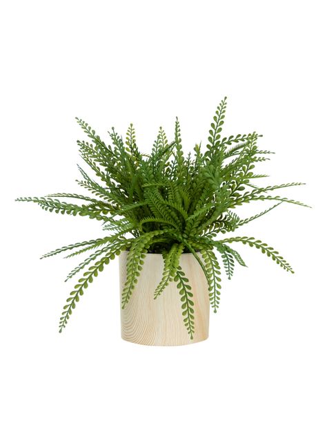 Planta Adiantum 32 cm-0