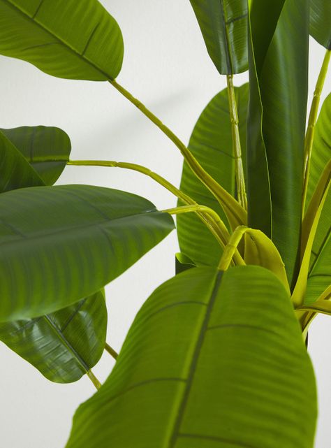 Planta Artificial Banana 190 cm-2