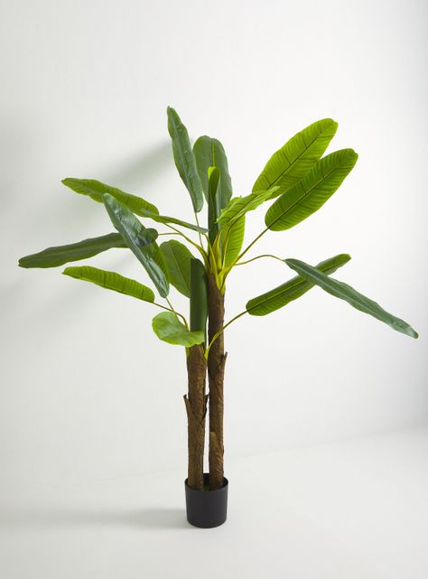 Planta Artificial Banana 190 cm-1