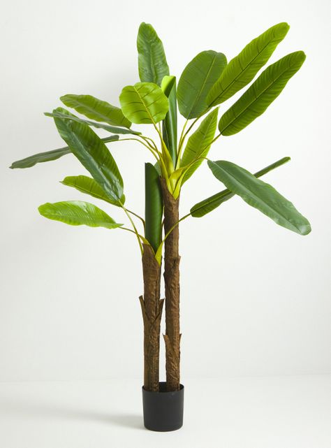 Planta Artificial Banana 190 cm-0
