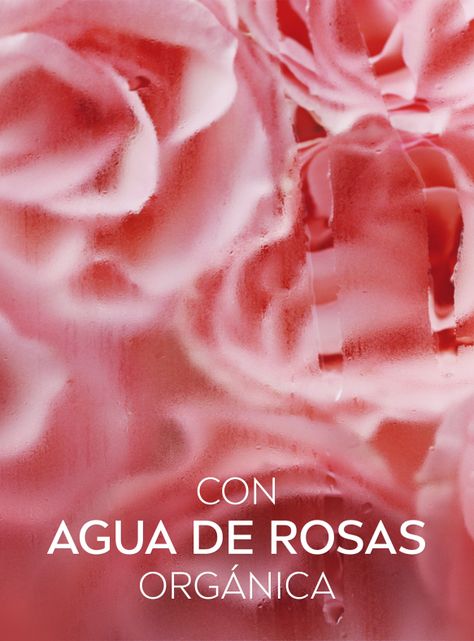 Agua Micelar Rose Desmaquillante 400 ml Nivea-5