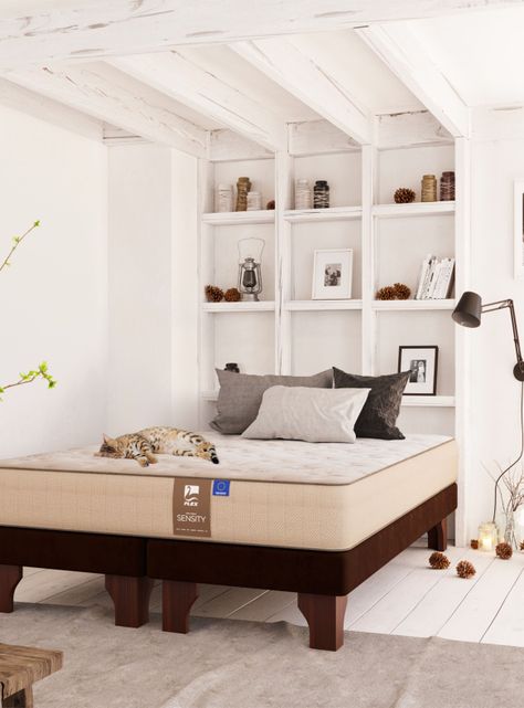 Cama Europea Dual Sensity 1.5 Plazas + Respaldo Royal + Velador Asturias-5