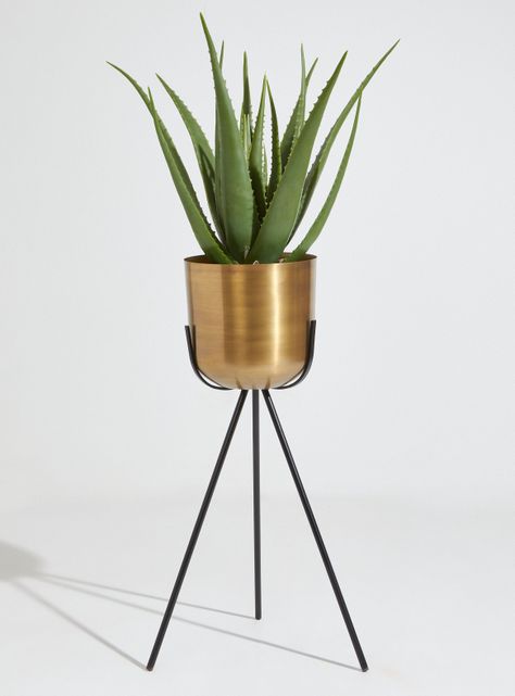 Porta Alaniz Home Planta Gold L-1