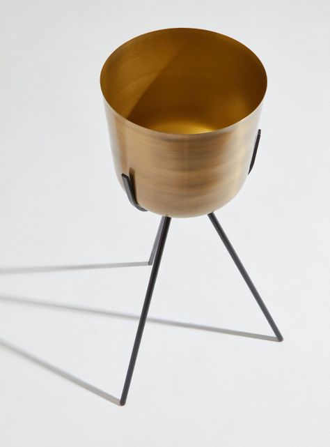 Porta Alaniz Home Planta Gold L-2