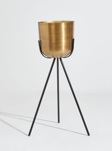 Porta Alaniz Home Planta Gold L-0