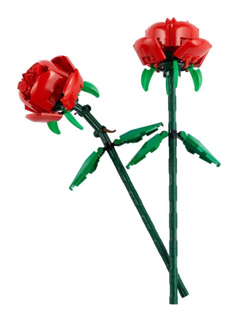 Armable Rosas-2