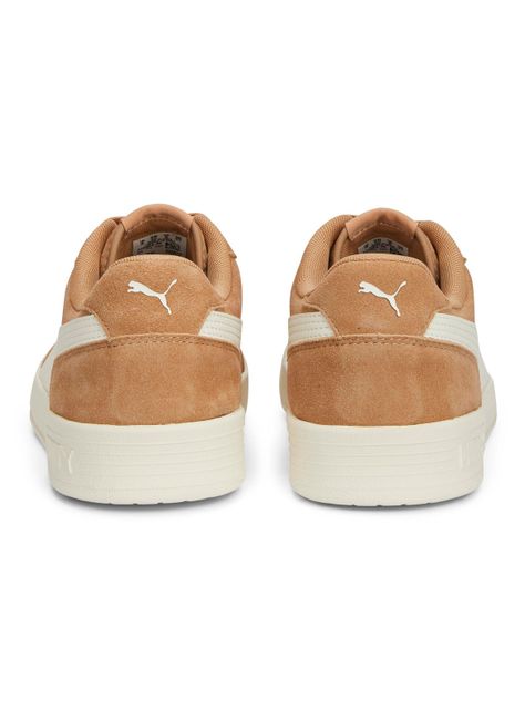 Zapatilla Urbana Caracal Sd Café Hombre-2