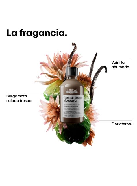 Shampoo Sin Sulfatos Reparacion Molecular Profunda Cabello Dañado Absolut Repair Molecular 300ml-3