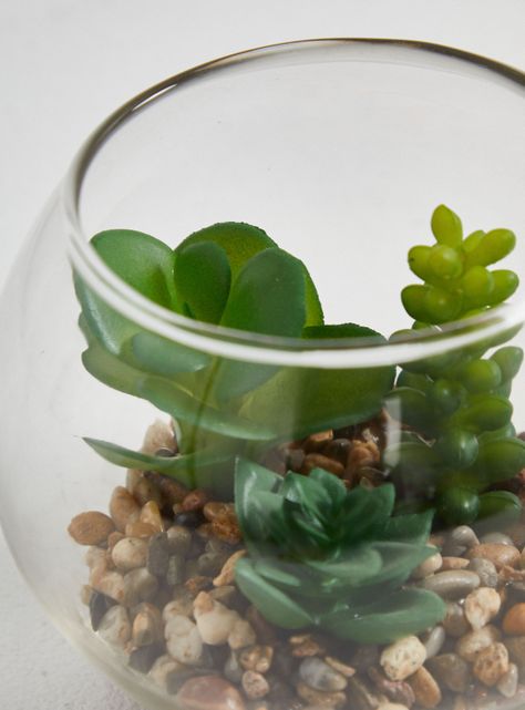 Planta Artificial Suculenta-2
