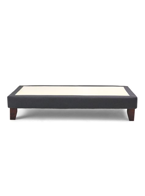 Base Europea 1.5 Plaza Plus-2
