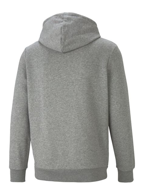 Polerón Ess+ 2 Col Big Logo Hoodie Fl-1