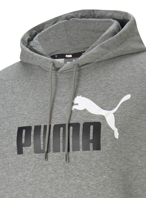 Polerón Ess+ 2 Col Big Logo Hoodie Fl-2