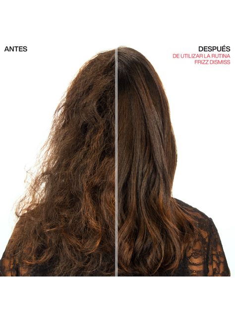 Set Frizz Dismiss Anti Frizz Shampoo 300ml + Acondicionador 300ml Redken-5