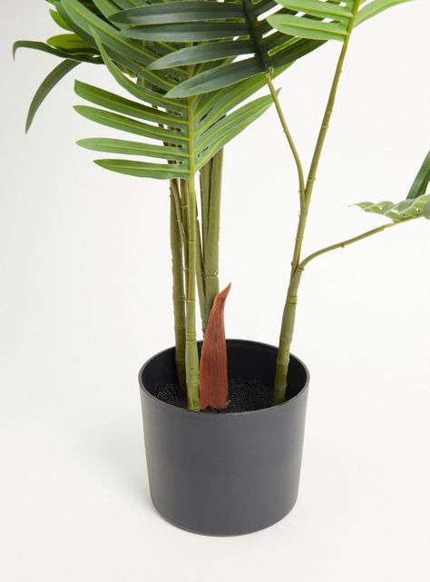 Planta Palmera 120 cm-1