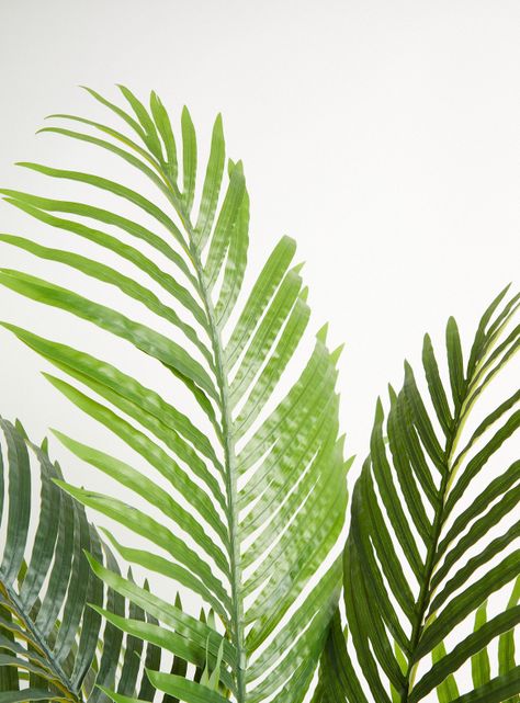 Planta Palmera 120 cm-2