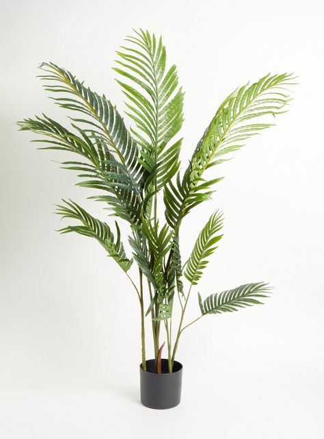 Planta Palmera 120 cm-0