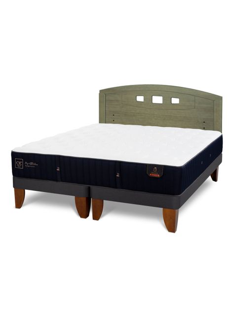 Cama Europea Premium 2 Plazas Base Dividida + Respaldo Gales Olivo-0