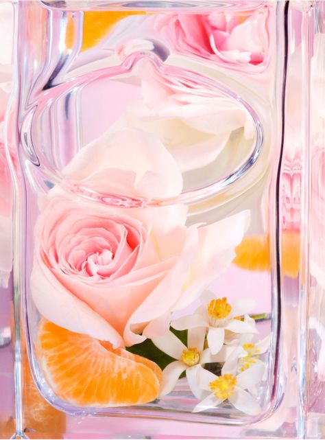 Perfume Infusion de Rose EDP Unisex 100 ml Prada-4