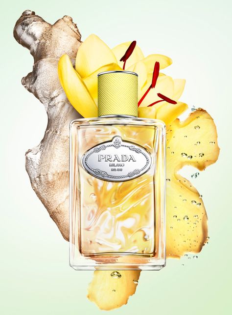 Perfume Infusion de Gingembre EDP Unisex 100 ml Prada-2