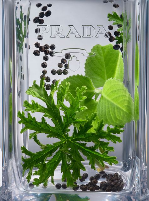Perfume L'Homme EDT Hombre 100 ml Prada-2