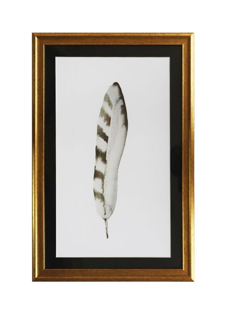 Cuadro Pluma Media Raya 40 x 60 cm-0