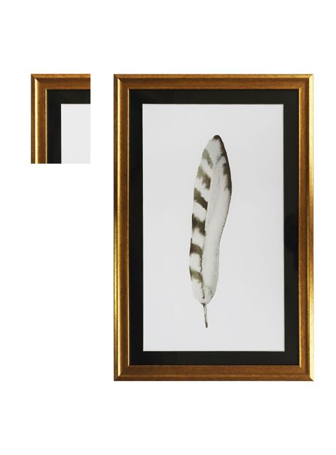Cuadro Pluma Media Raya 40 x 60 cm-1