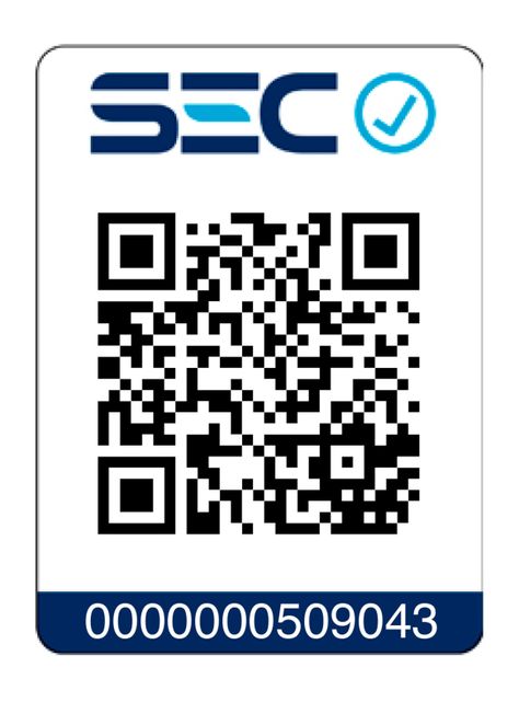 Ondulador de Pelo SG-B2601 Waver-8