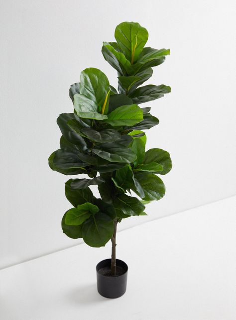 Planta Hoja Lira 110 cm-1