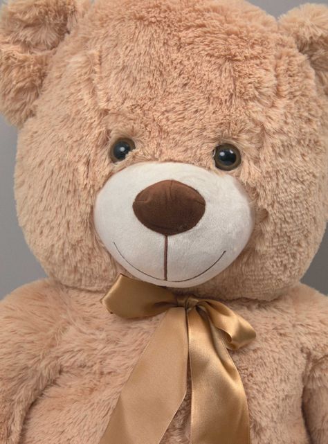 Peluche Oso Sentado 60 cm-2