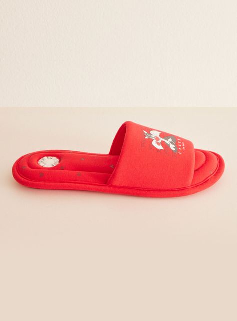 Pantuflas Piolín-1