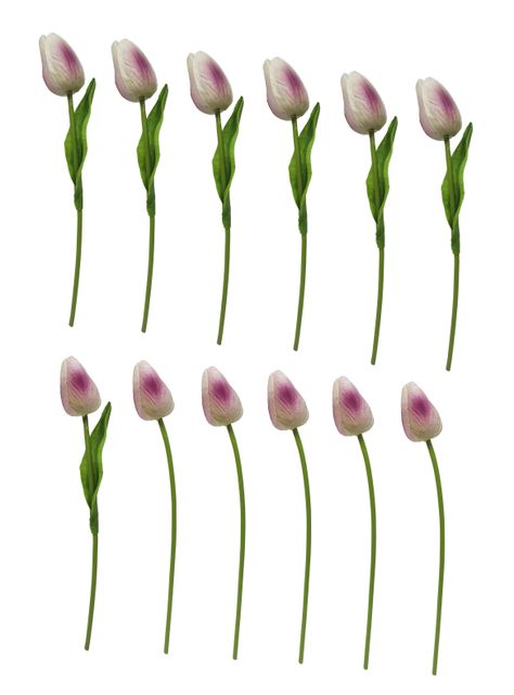Ramo 12 Tulipanes Morado-1