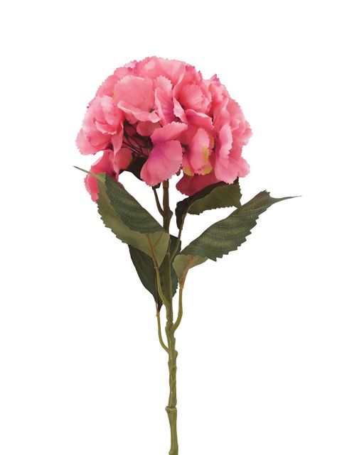 Ramo 2 Hortensia Rosa Palo-2