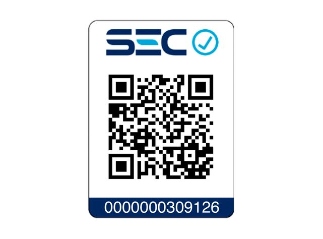 Alisador de Pelo SG-4716-5