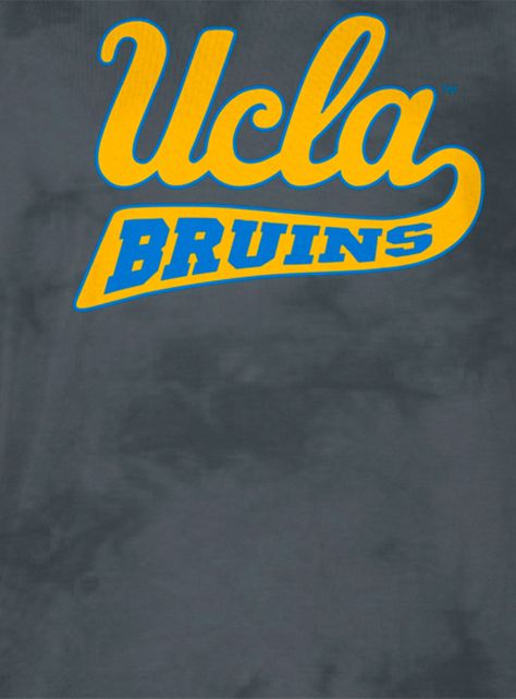 Camiseta Bandera-2