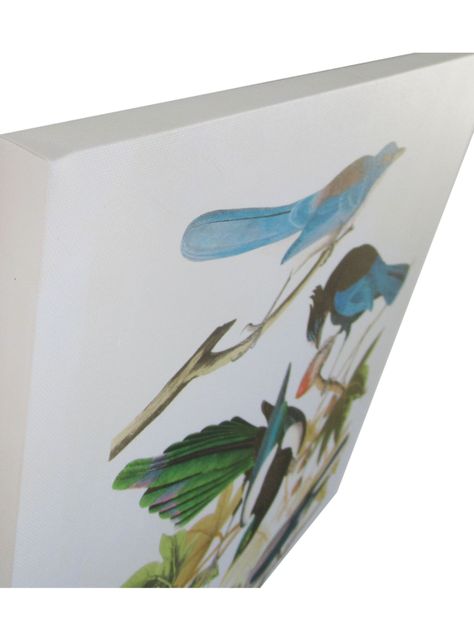 Canvas Pájaros 1-1
