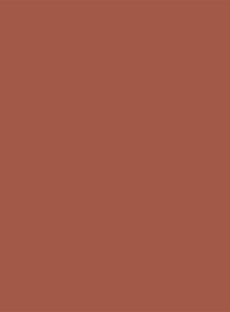 Rosy Glow Colorete Realzador del Color-2