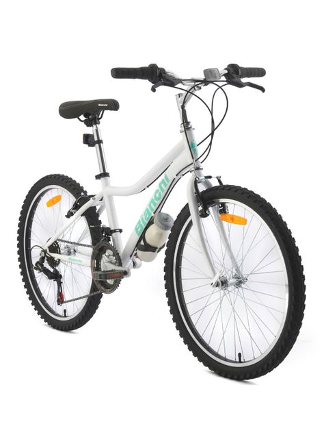 Bicicleta de Paseo Classic 24" Lady-1