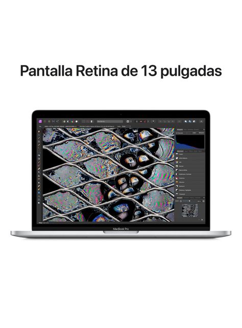 MacBook Pro 13.3" Chip M2 8GB RAM 256GB SSD Color Plata-3
